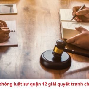 Văn phòng luật sư quận 12 giải quyết tranh chấp nhiều lĩnh vực